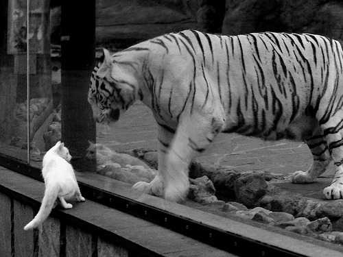 九游-_激励青少年：名人网球DIY教学视频火热推出_，网球教学视频入门单人