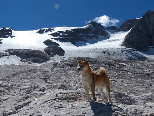 九游娱乐APP-“意甲争冠局势紧张，豪门明星纷纷发光发热”，意甲十大球星