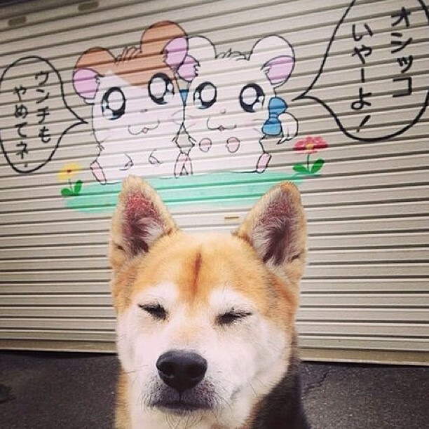 “足球公益跑活动在各大城市同步举行，凝聚人心”，足球公益活动标语