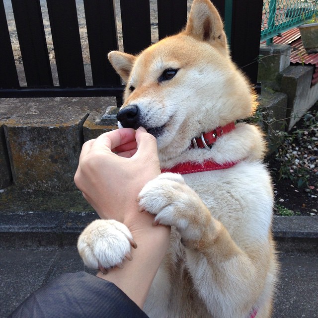 万博体育合作推动中国青少年篮球产业链升级