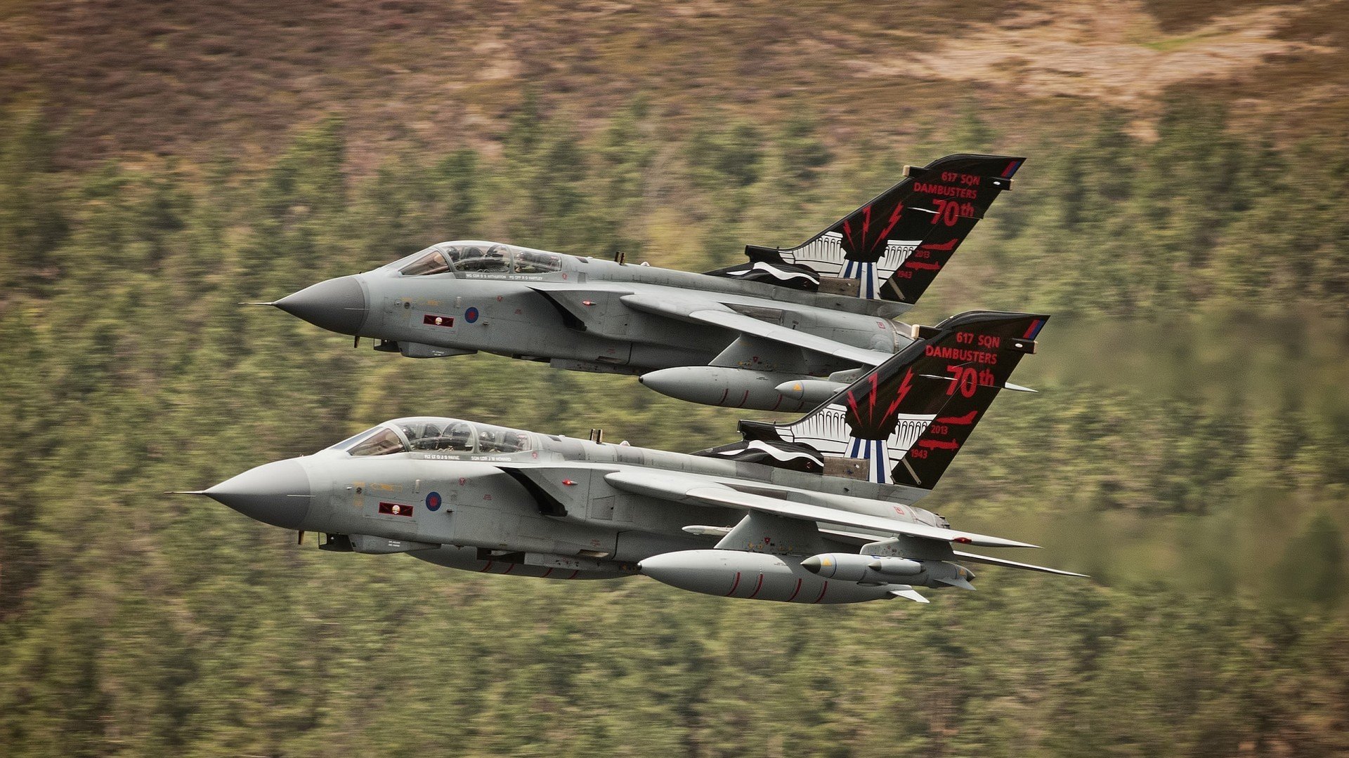 九游娱乐-克罗地亚马术协会开展马匹福利宣传活动，提升公众意识。