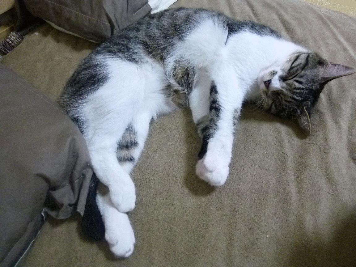 九游(jiuyou)官方网站-伤病潮：哪些关键球员可能缺席未来比赛？，nba球员缺席比赛有工资吗