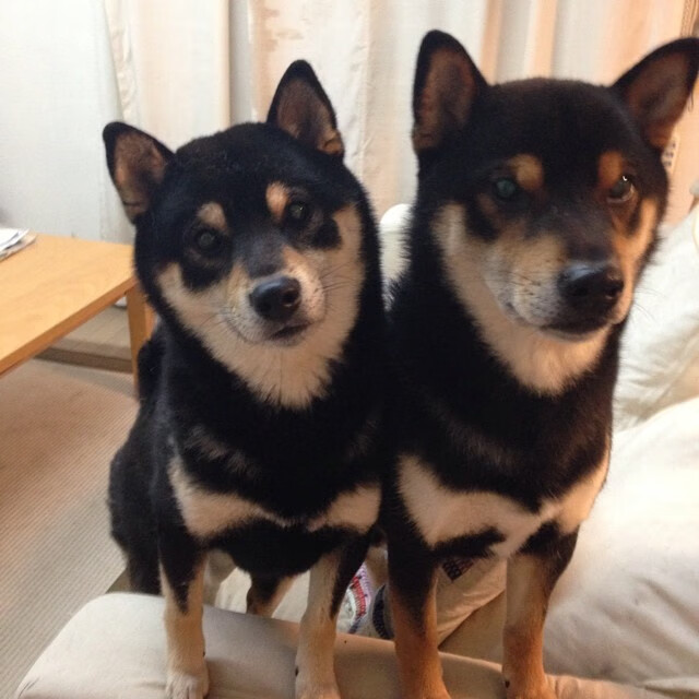 九游jiuyou-科技赋能——VR虚拟赛车体验火爆全场，vr赛车类游戏