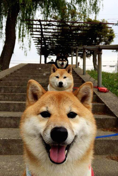 九游下载官网-青年篮球人才选拔标准不断优化，篮球青年队有哪几个年龄段的