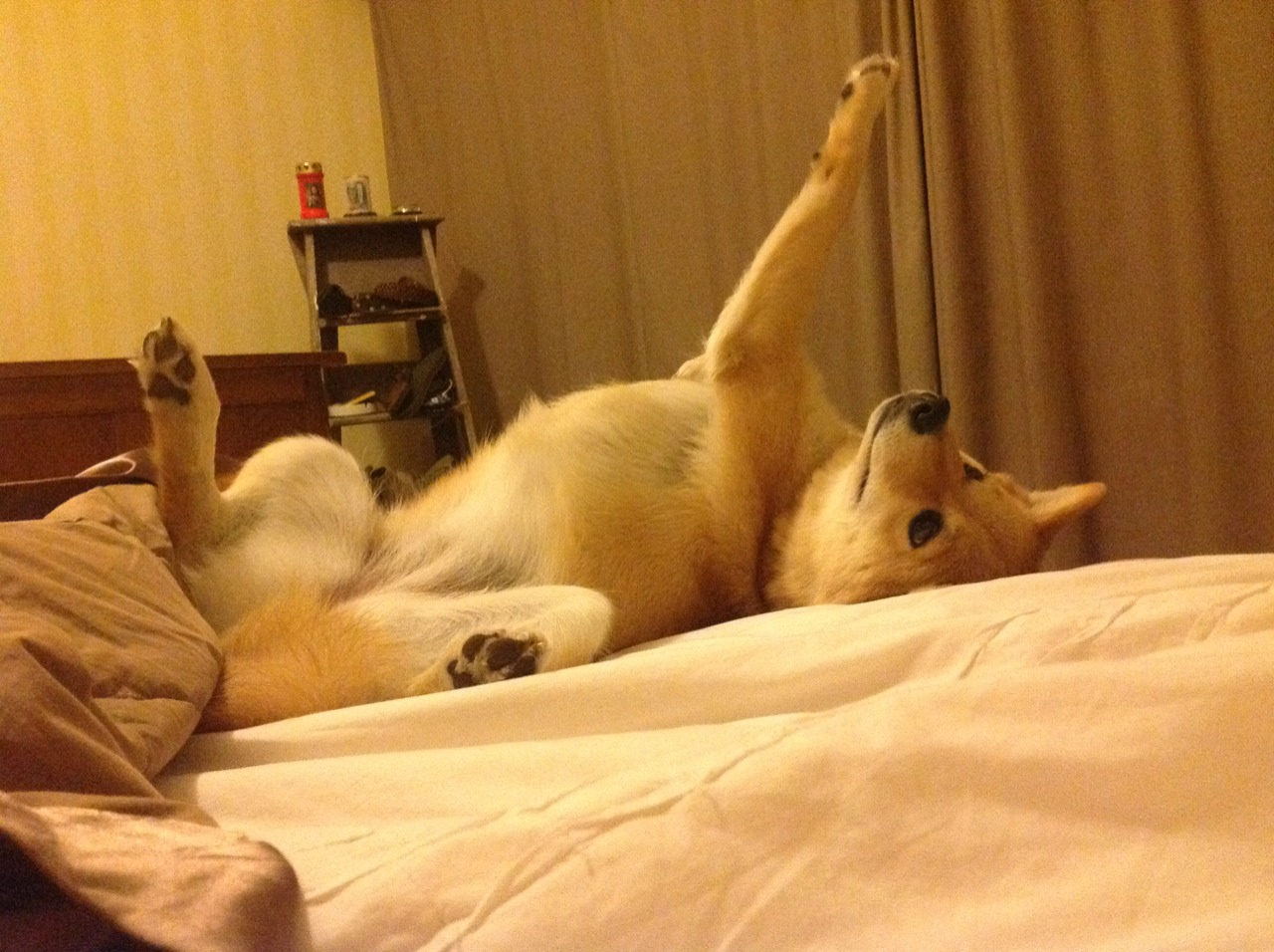 九游娱乐(jiuyou)官网-自由球员市场是否被豪门操控，自由球员市场结束时间