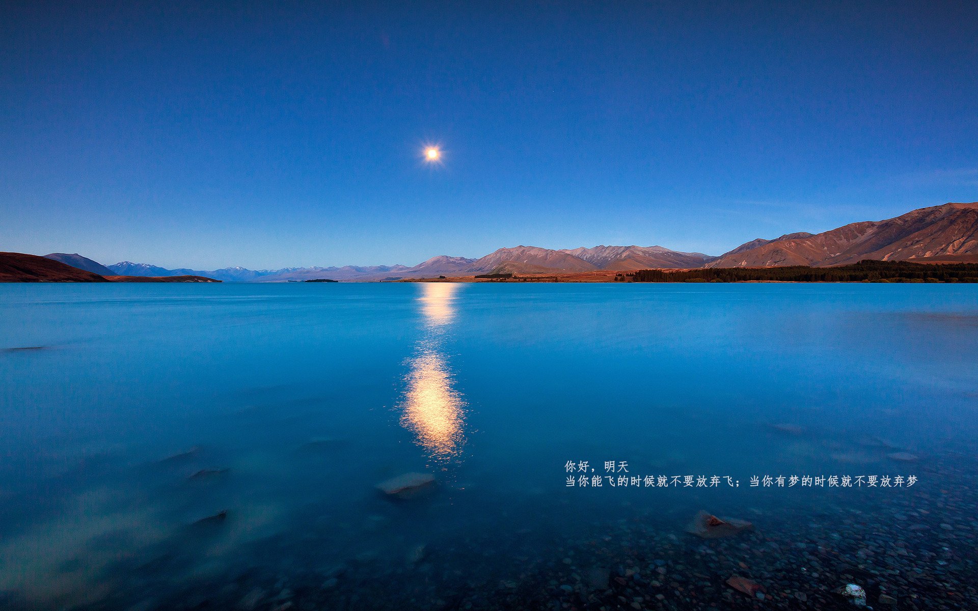 九游官网pc-阿拉维斯实力碾压，大比分轻取对手，阿拉维斯ds