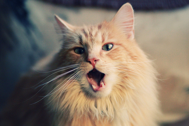 篮球运动员比赛压力管理方法研究，篮球压力国家标准