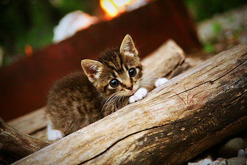 九游sports-奥运会倒计时活动走进社区点燃运动激情，社区运动会策划