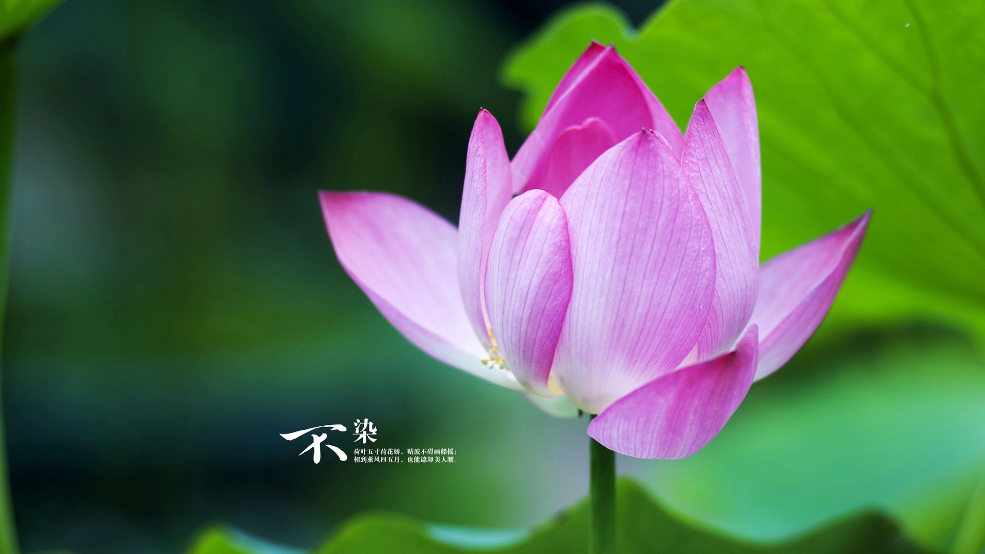 九游娱乐(jiuyou)官网-中国足球职业联赛赞助合作协议签订，中国足协 赞助商