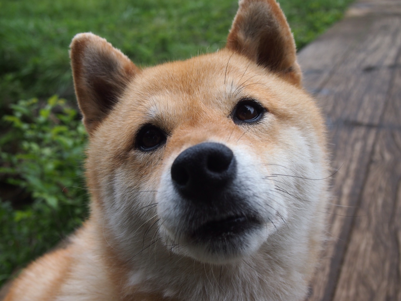 九游电脑版-西甲绝美远射：天空之城的艺术奇迹